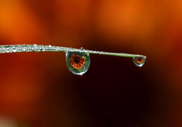 Quelle: pixabay.com